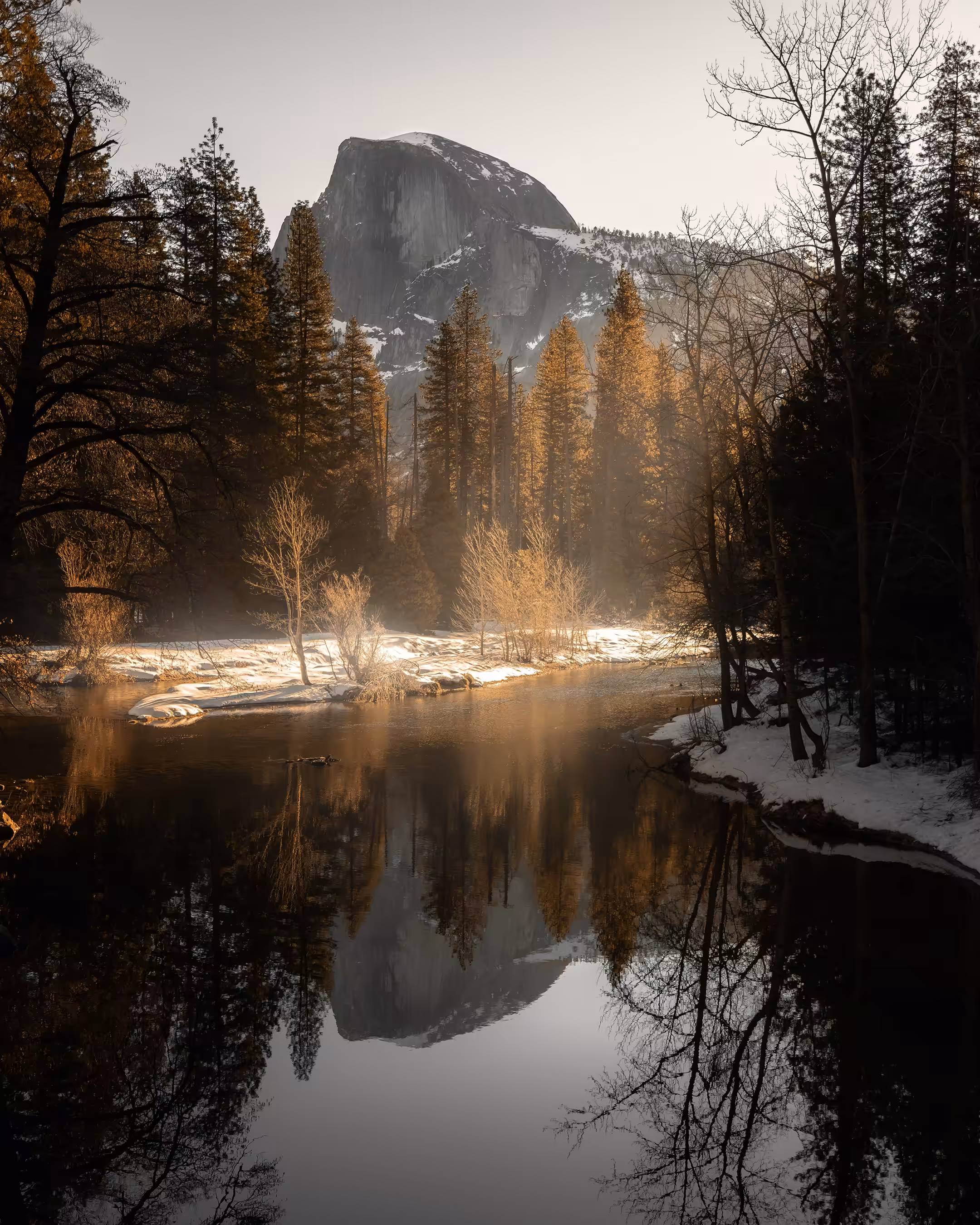 Winter Fall