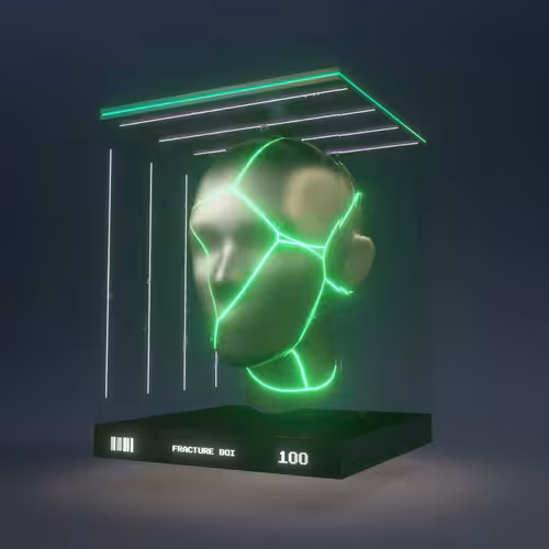 Fracture Boi: FRACTURE BOI - 100