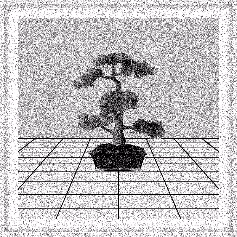 Bonsai Bonanza #355