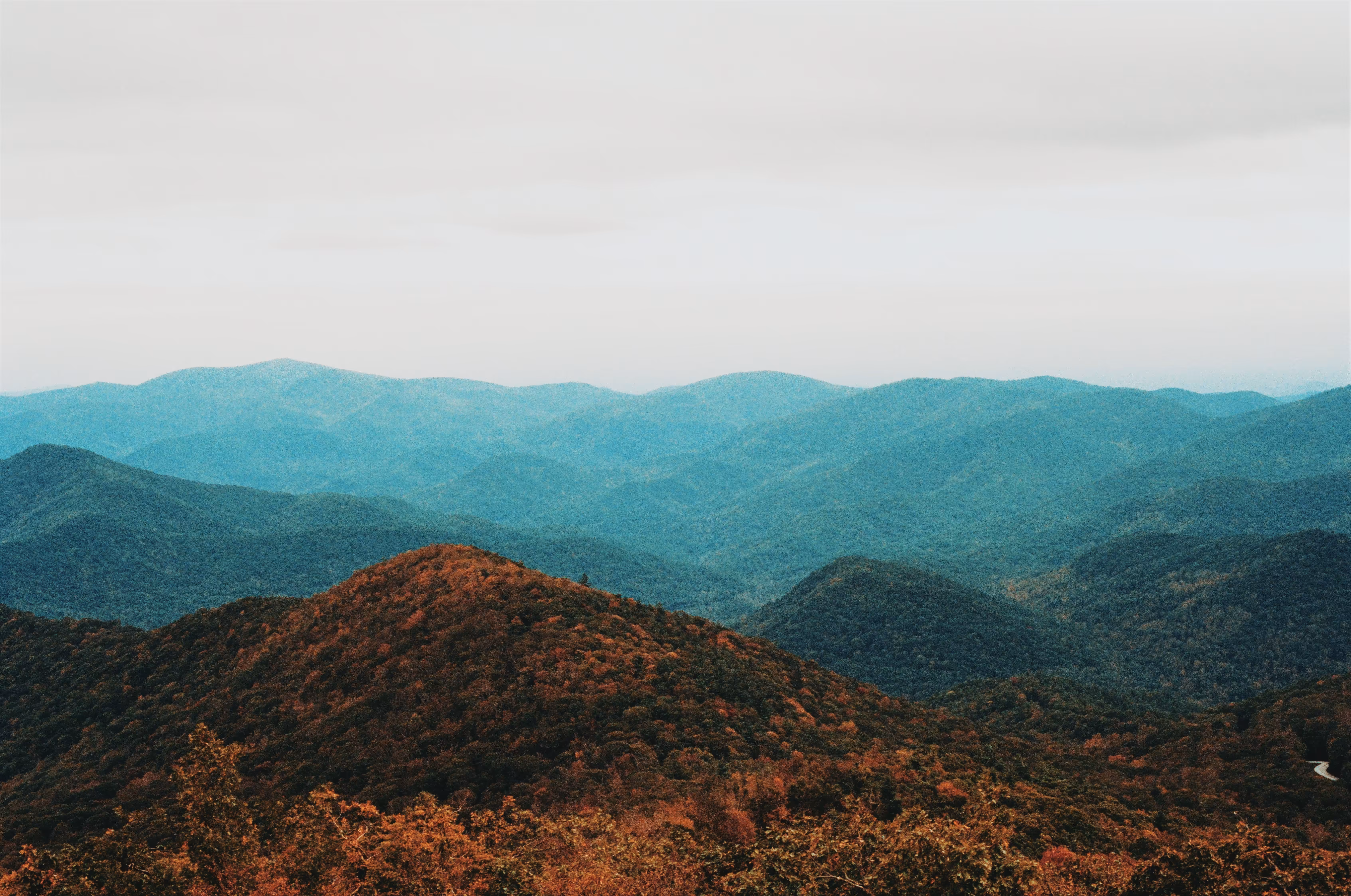 Brasstown Bald
