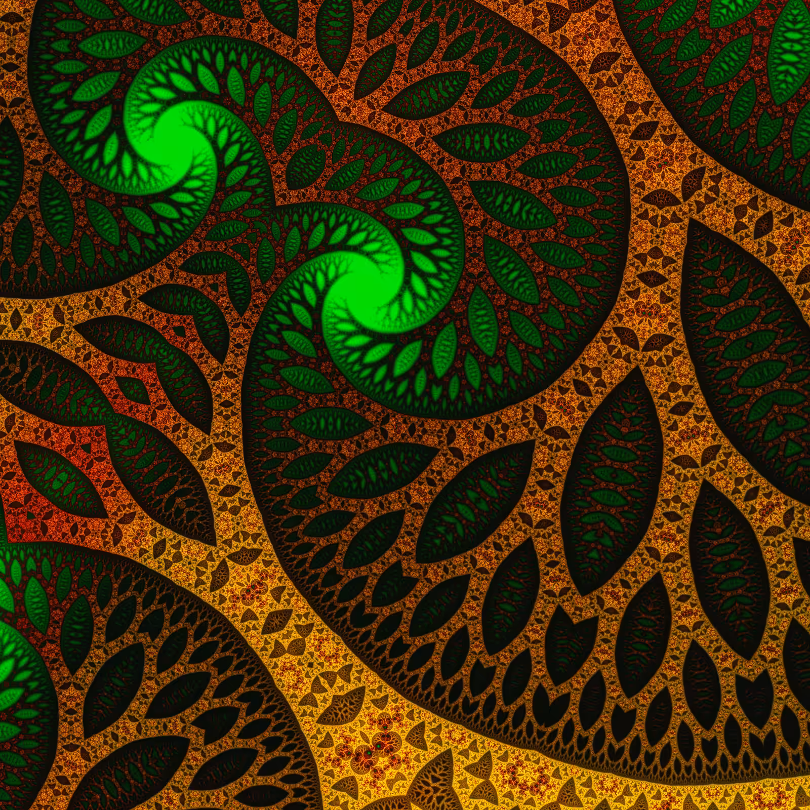 Plants