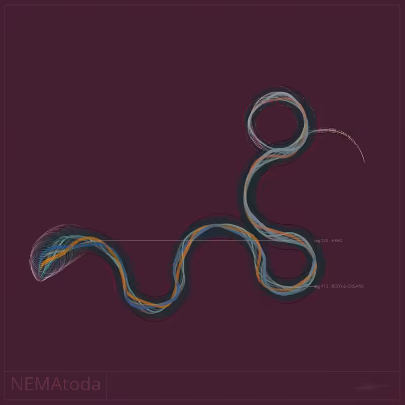NEMA #8