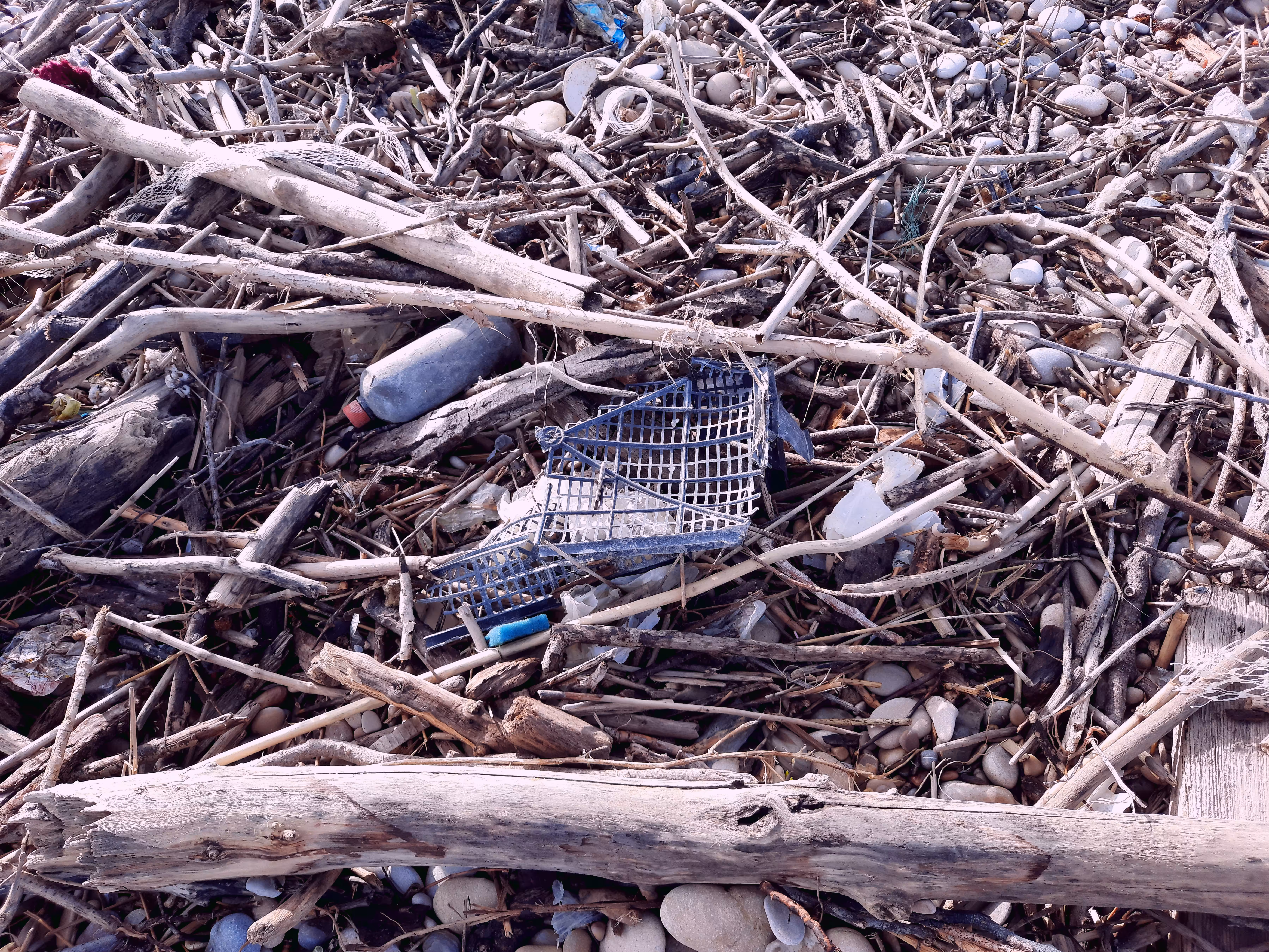 PERIODO PLASTICO #22