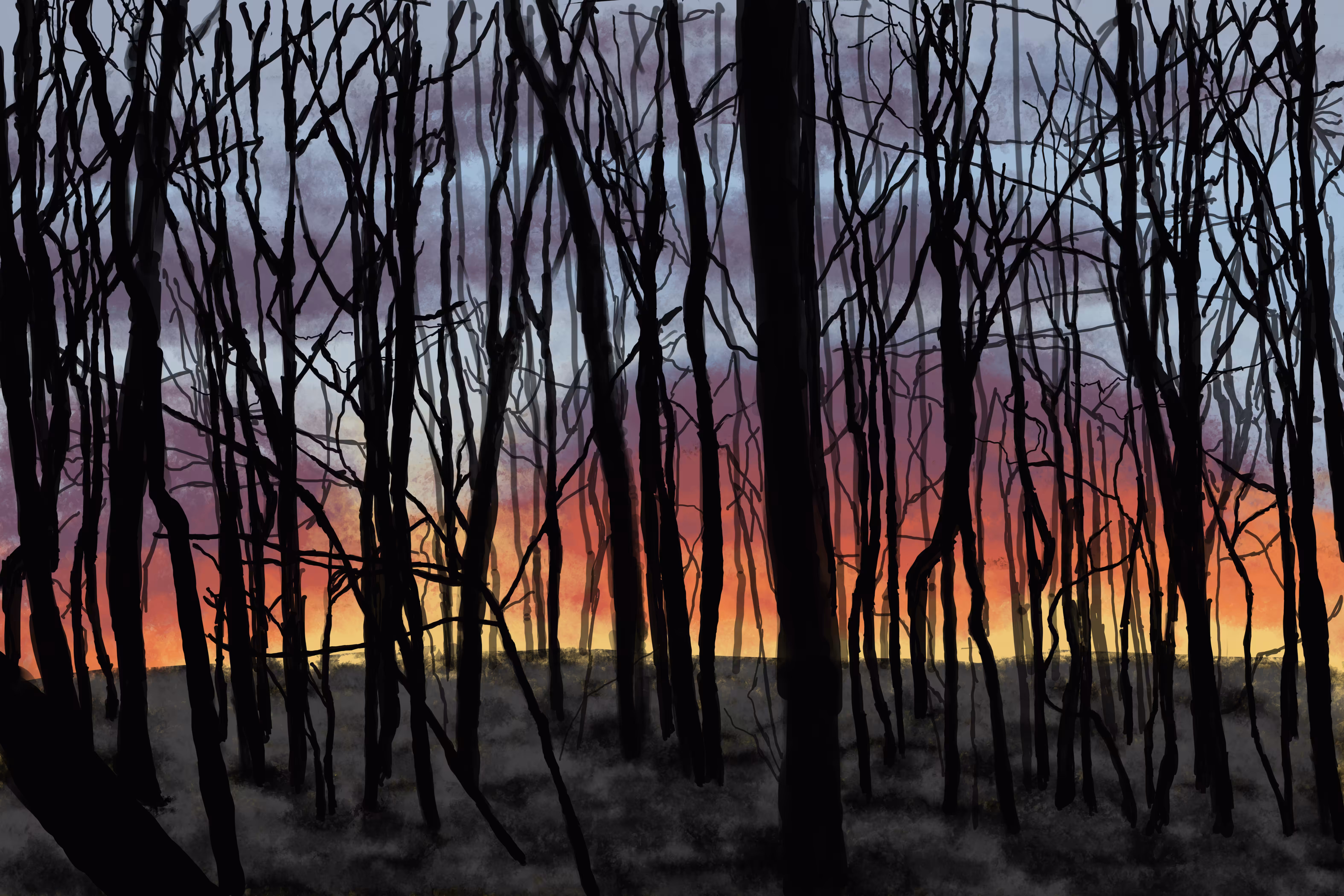 Sunset #1