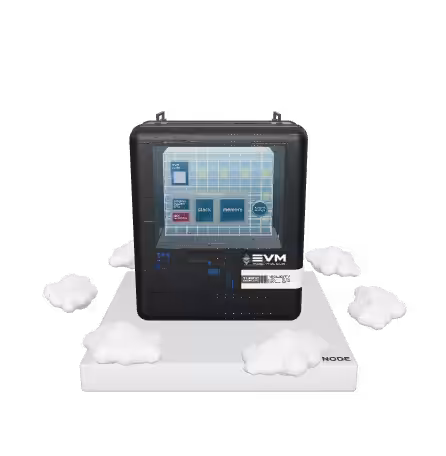 WHAT IS EVM?