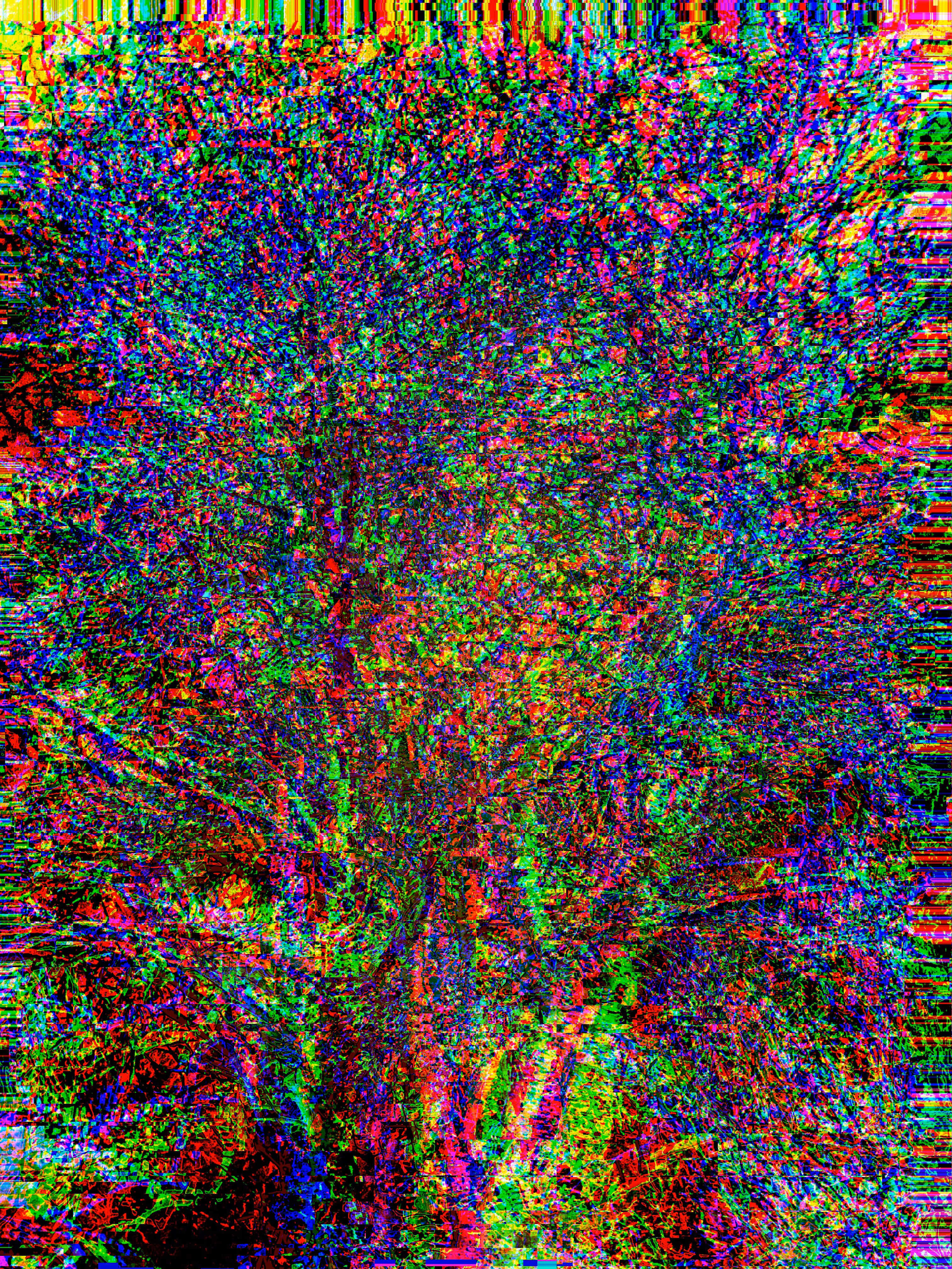 Tree of life