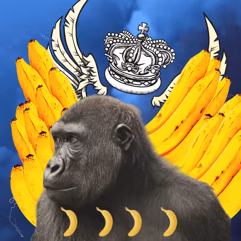 Banana gods #39