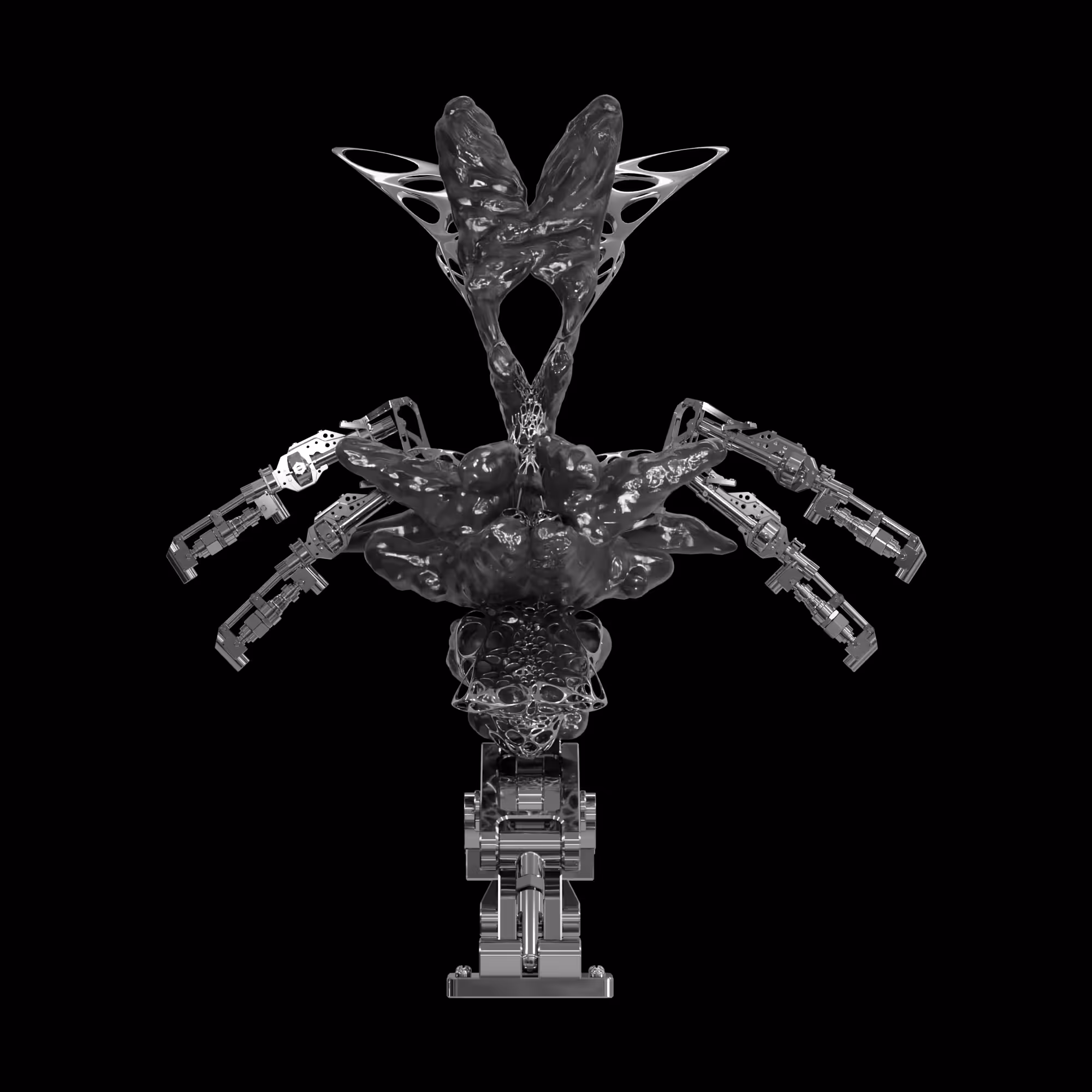 NIXPW TRANSMUTATION 0011