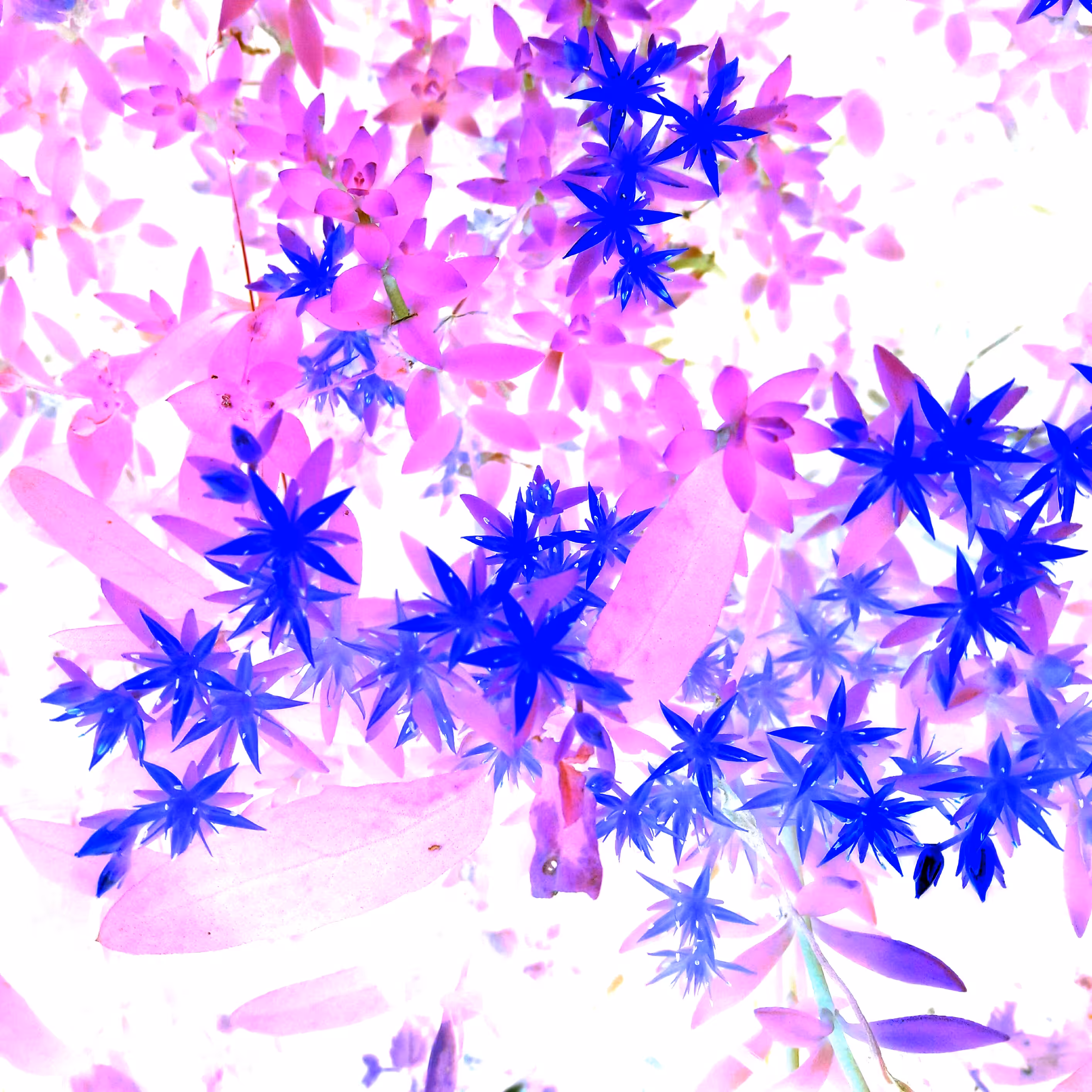Trip 04