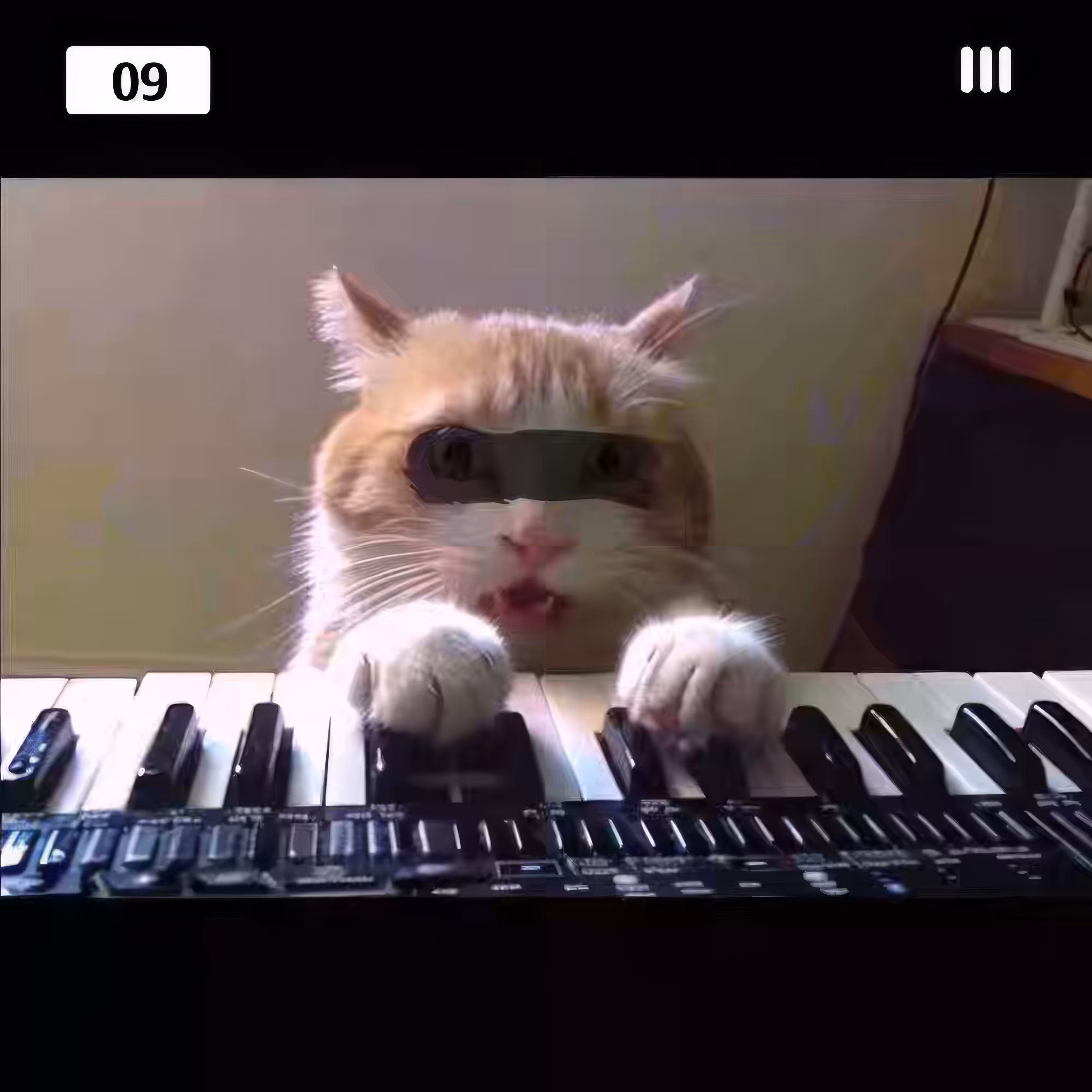 Kitty-Concerto