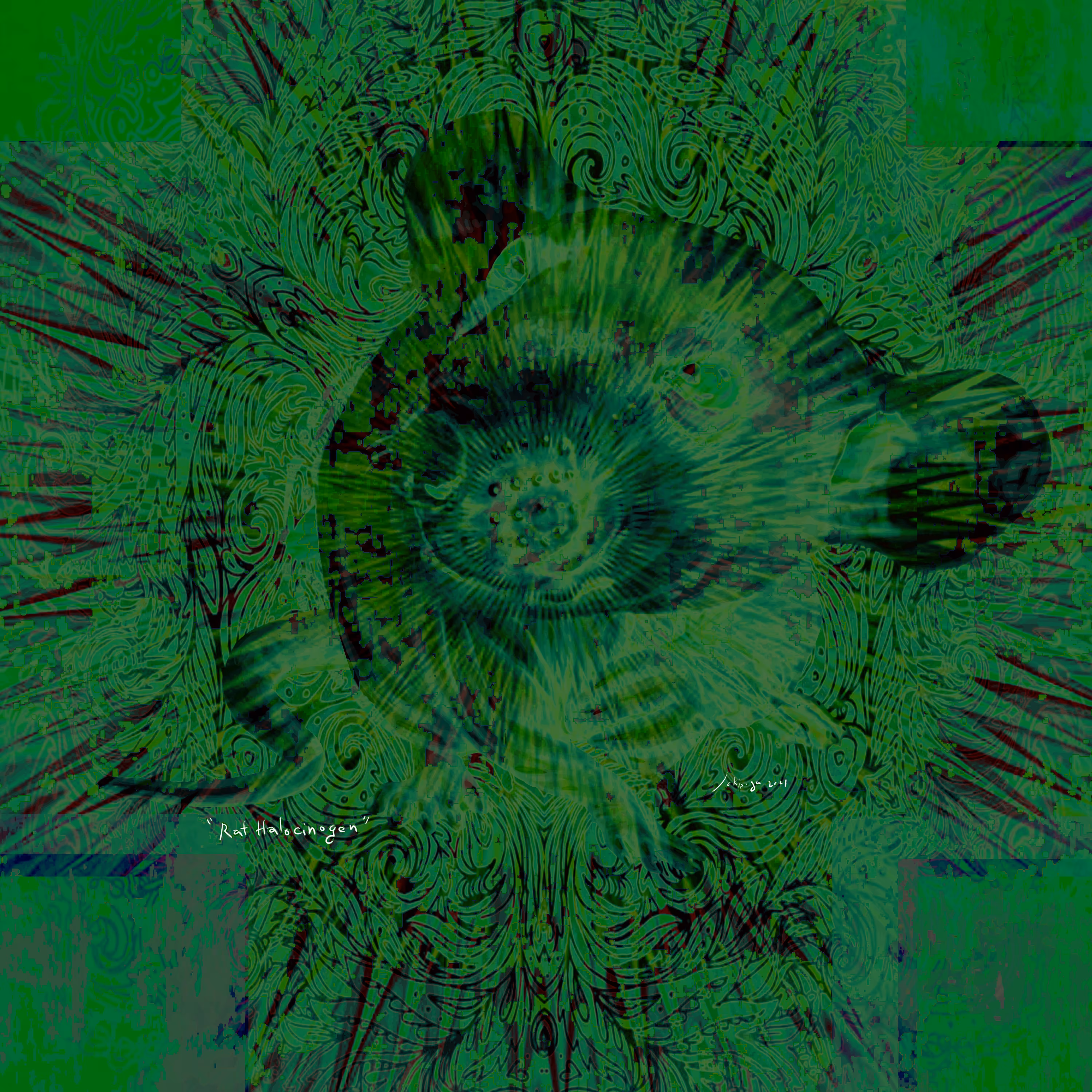 rat hallucinogen