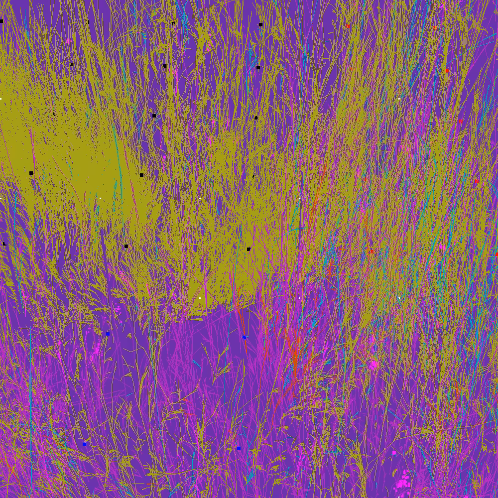 Infinite Garden: 49236 Flowers