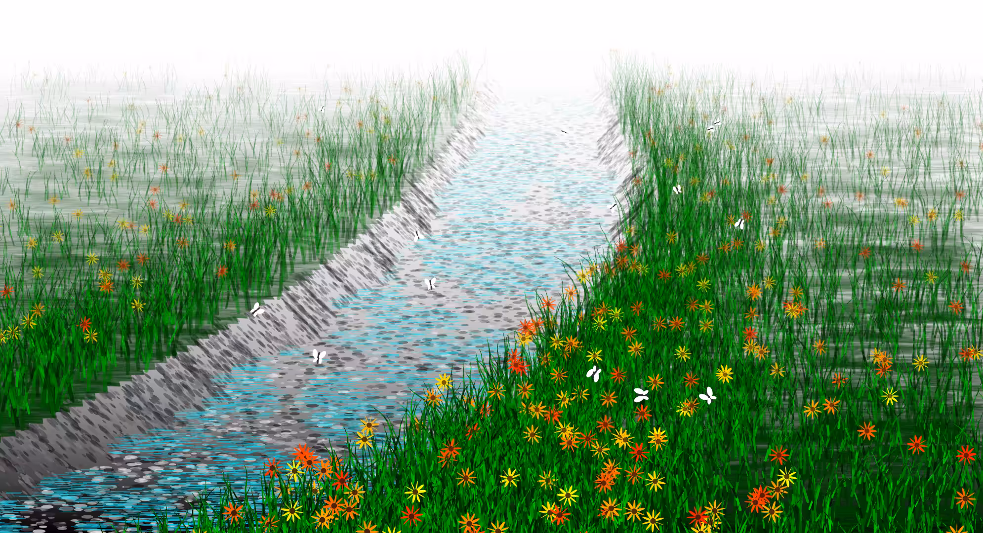 Wetlands #5