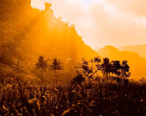 Lombok Light