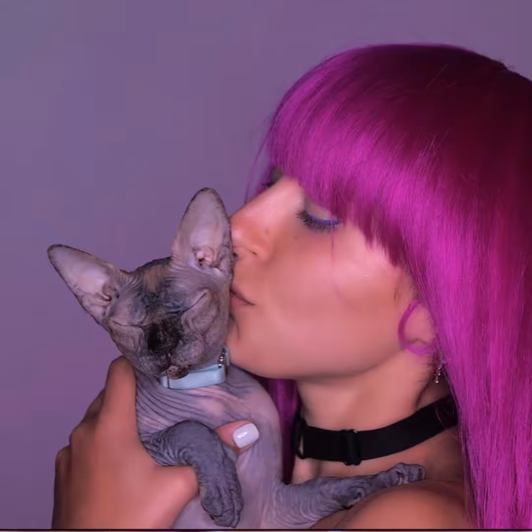 All kitties will be happy