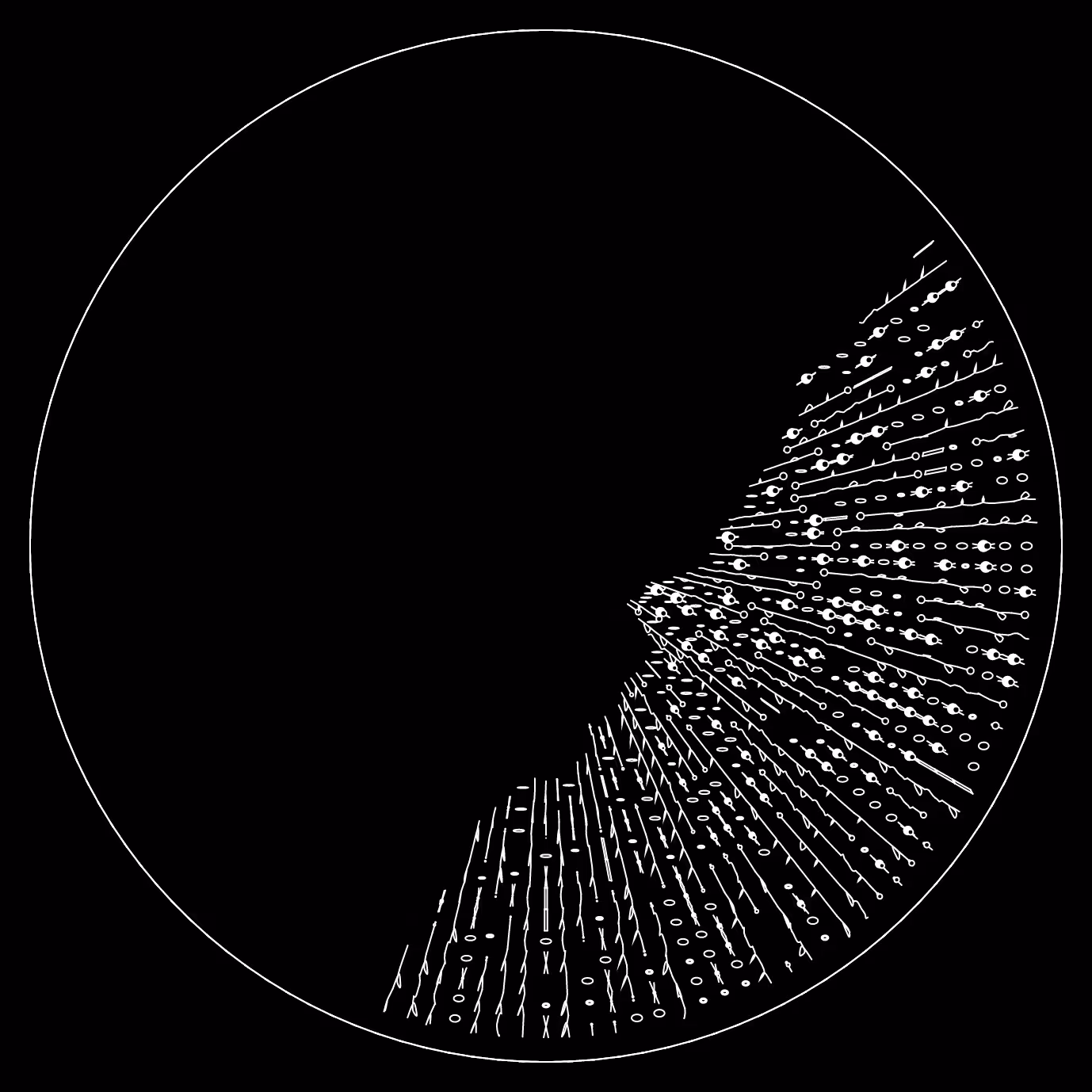 codex -1700340779.