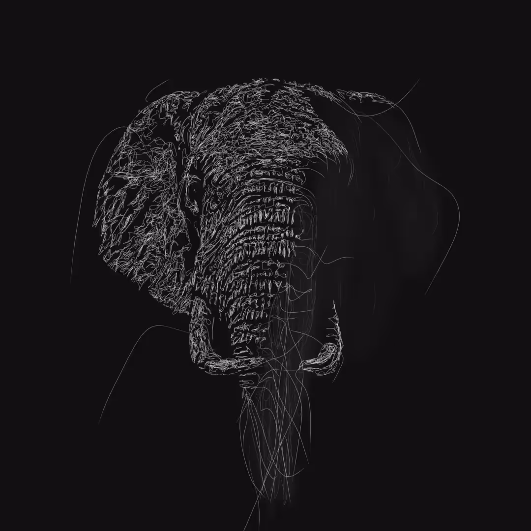 elephat