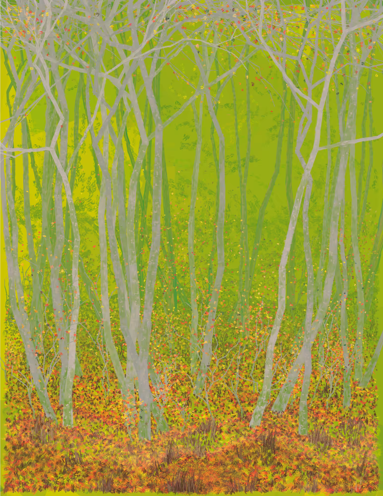 Deep Forest #282