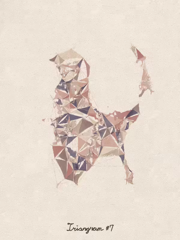 Triangram #7