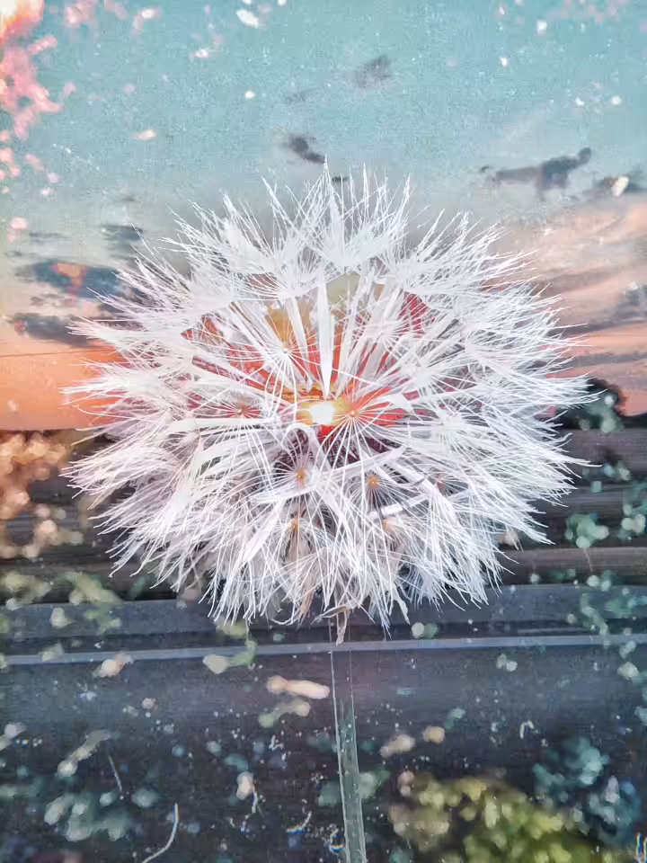 Wishing New Days