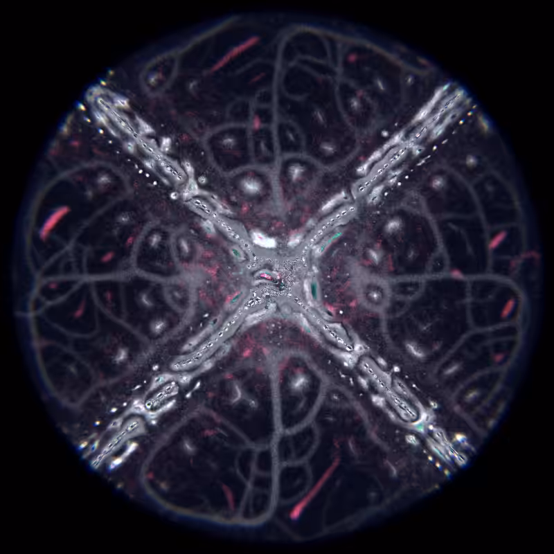 Ethereal Microcosm #16