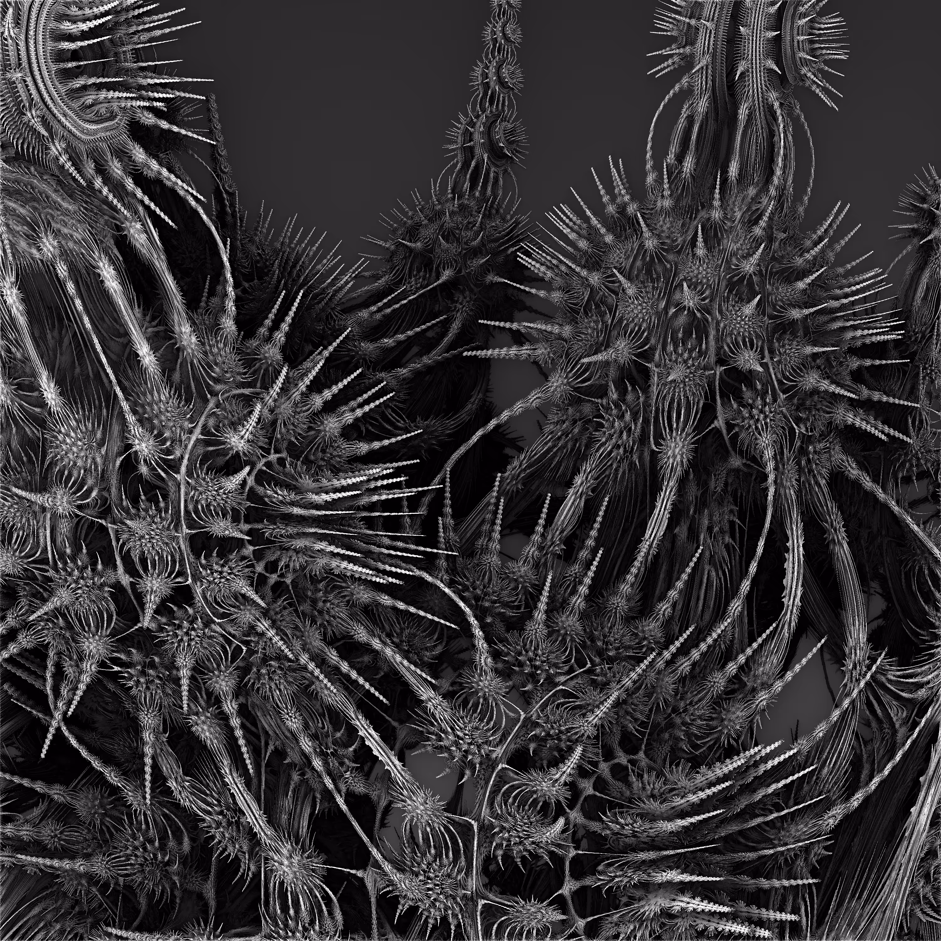 NIXPW FRACTAL 0005