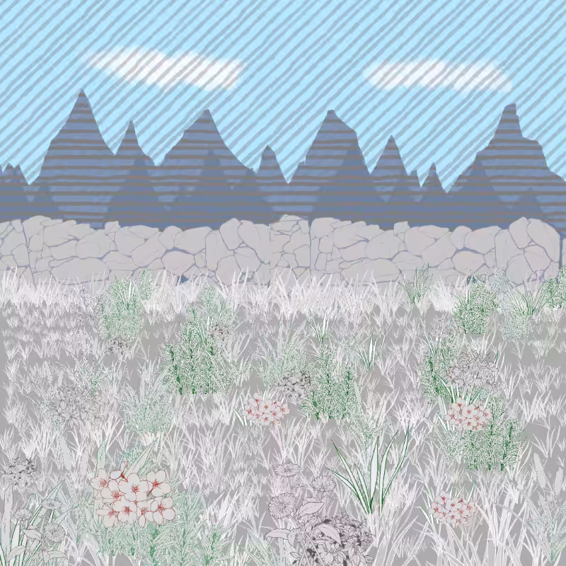 Mountain Meadows #64