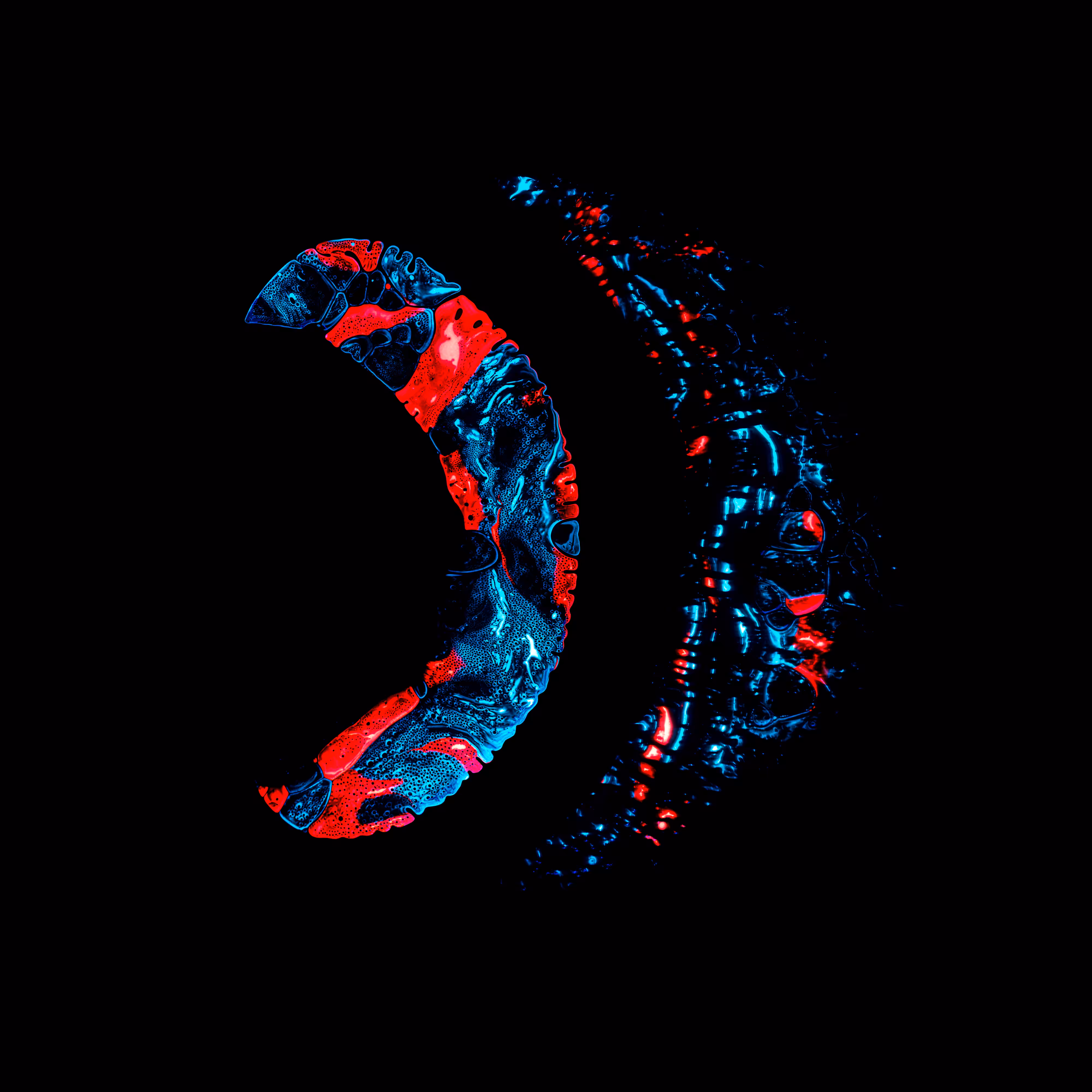 Haematopoiesis #269