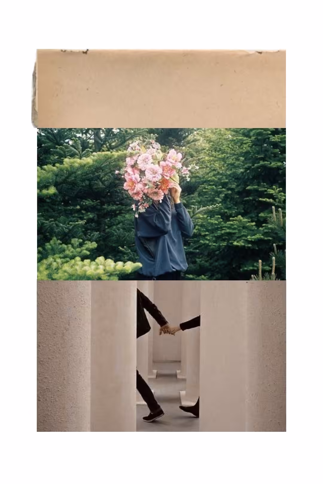 The Flowers Saw It First