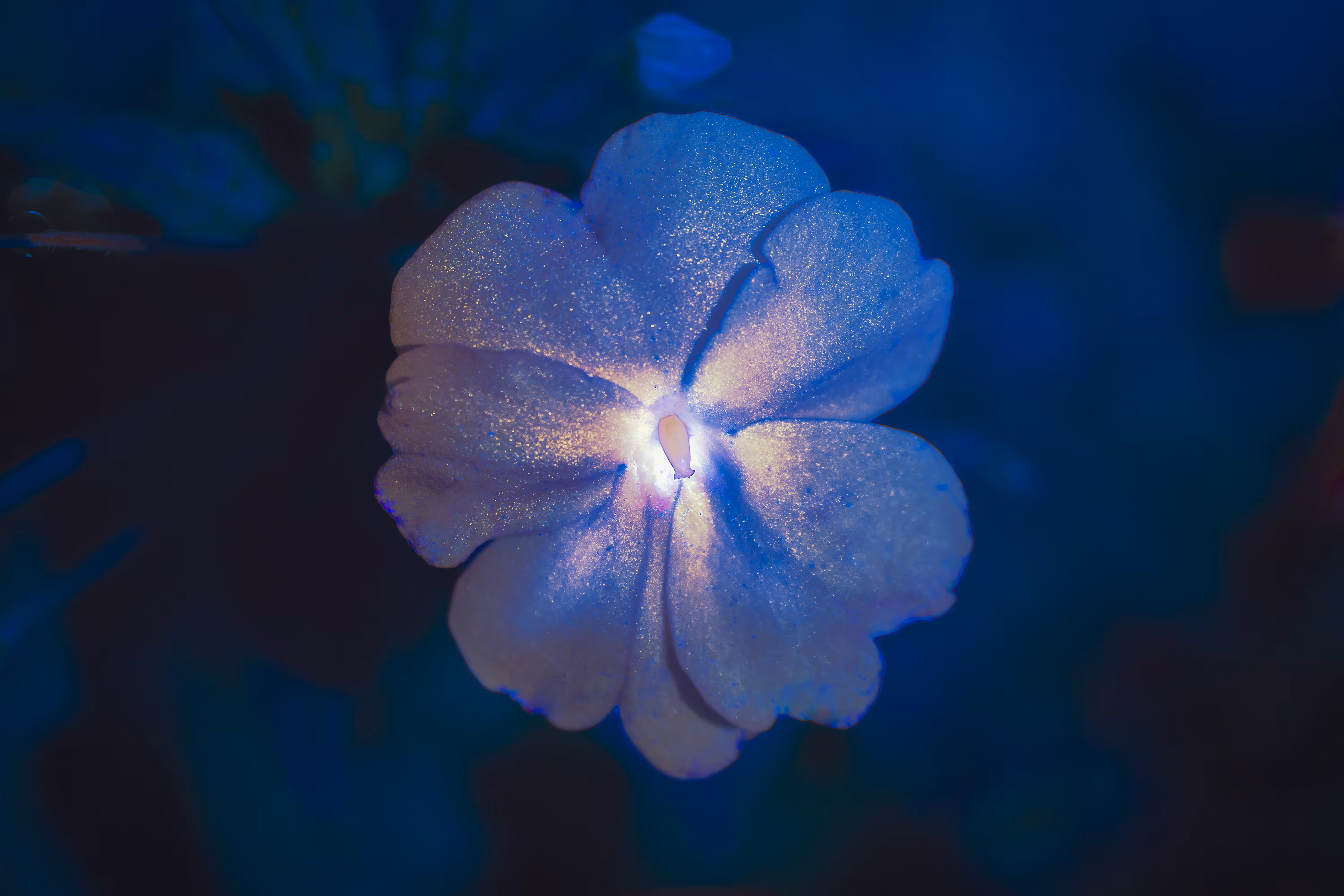 GLIMMER