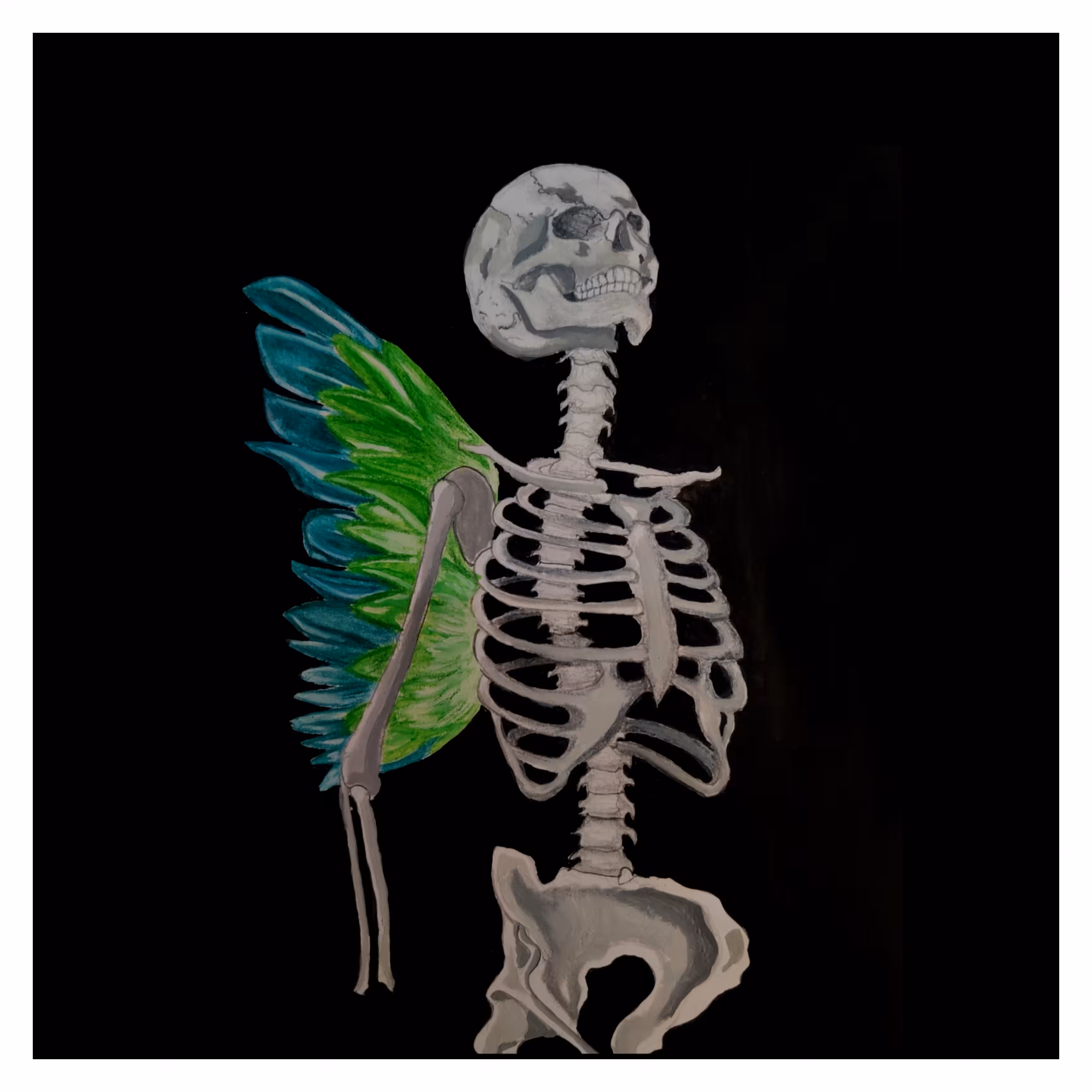Wings of  Transition