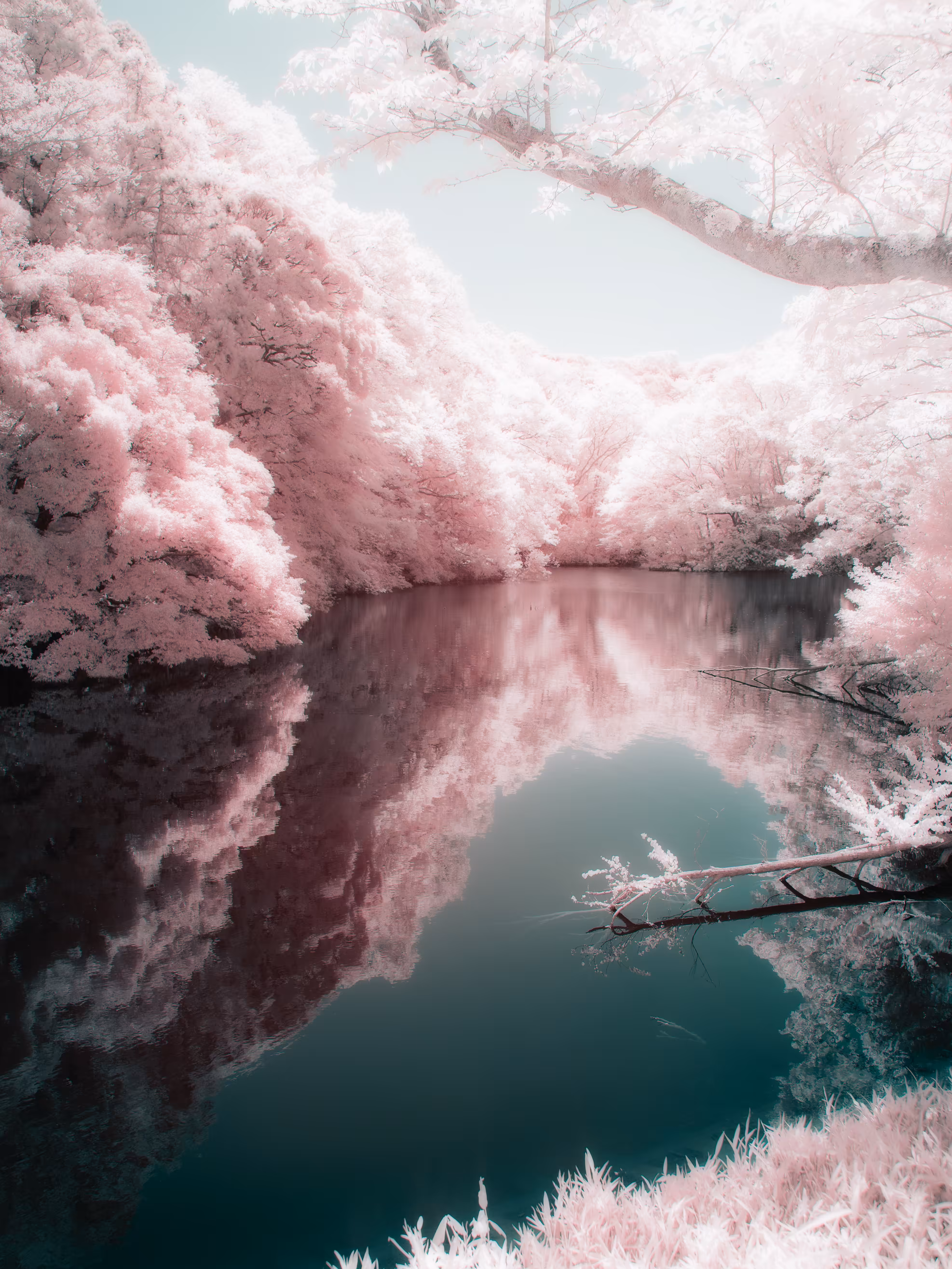 Fragments of Unreality