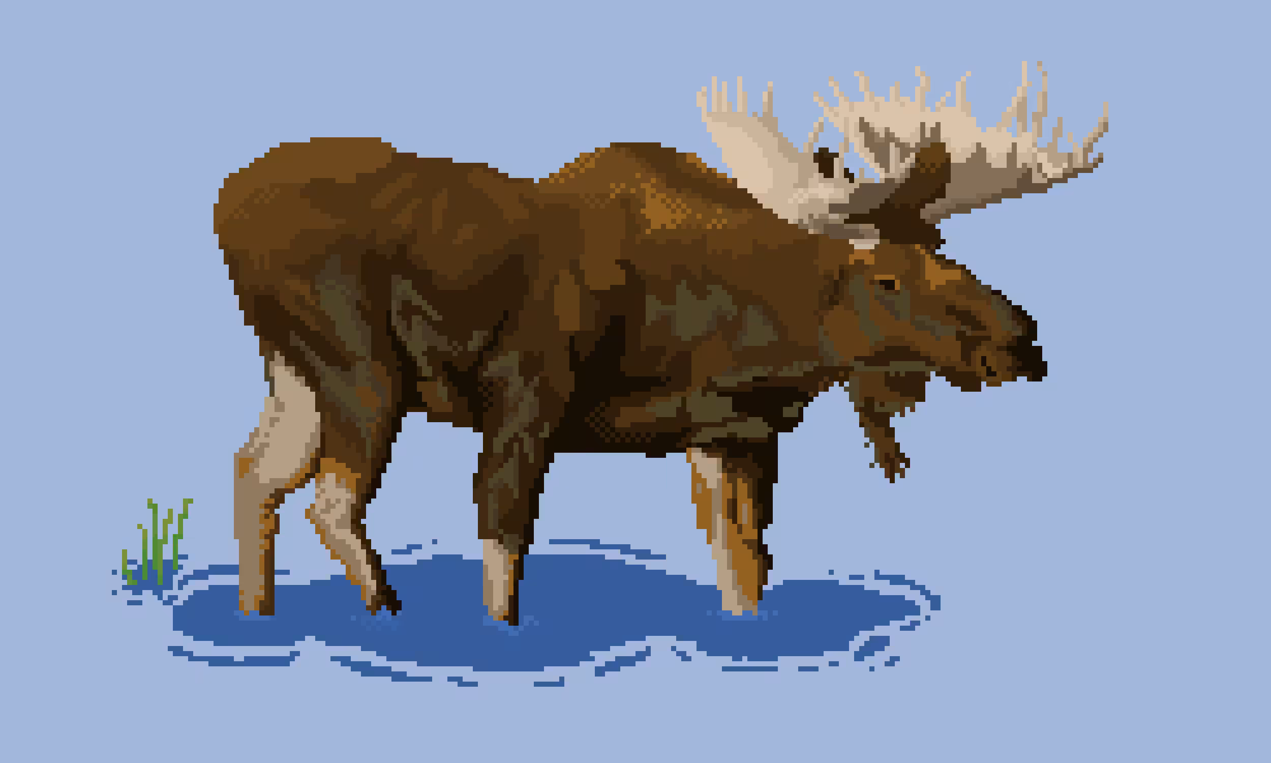 Moose