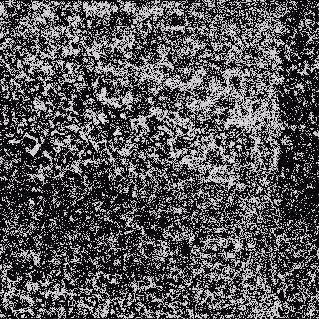 HIDDEN IN NOISE: Noise #528 