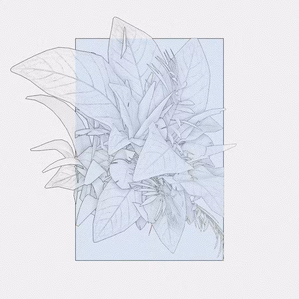 Botany #48