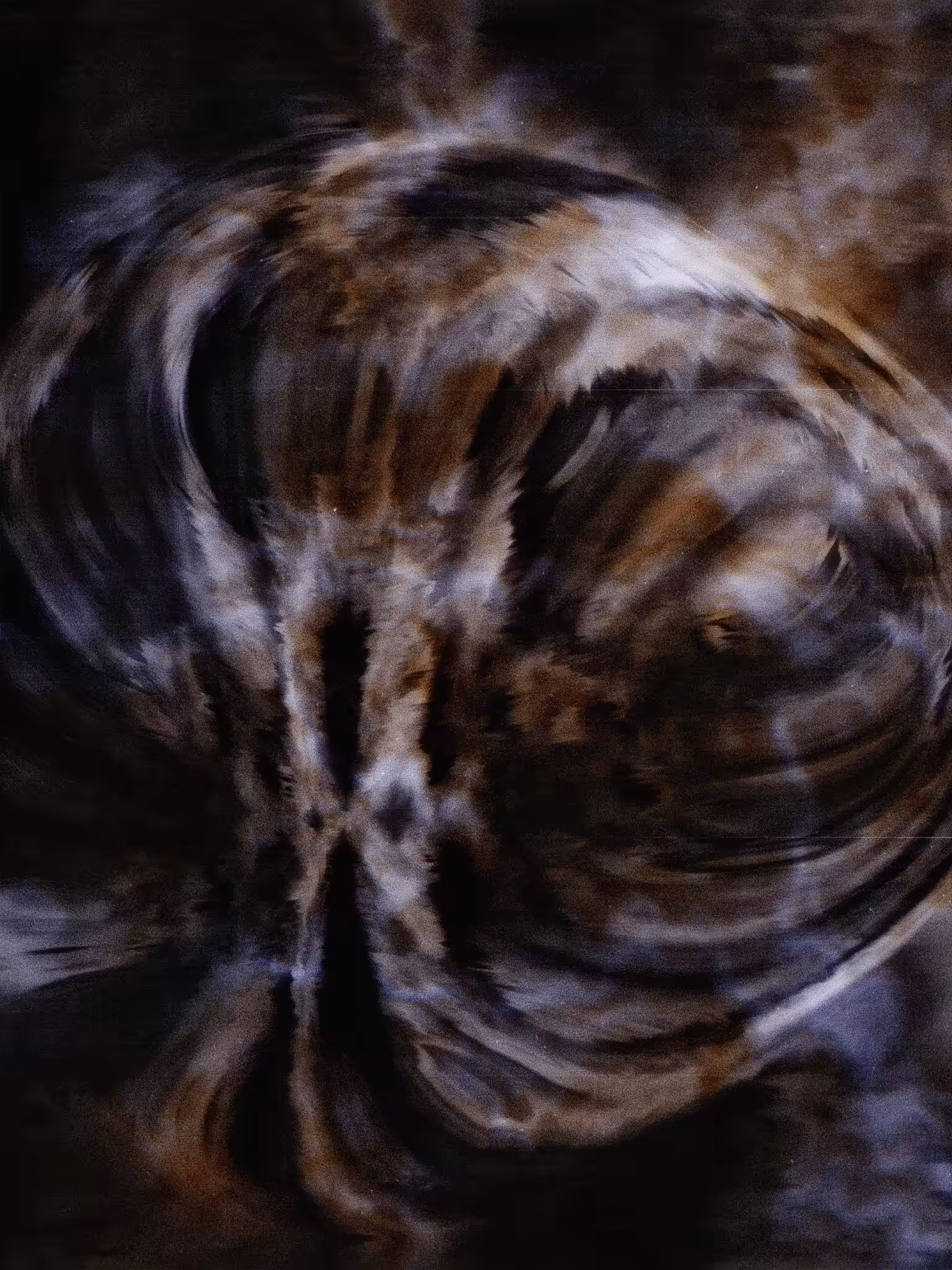 #51