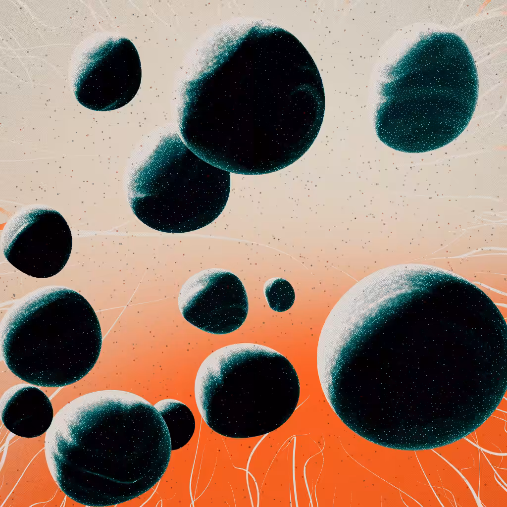 Reverberations #85
