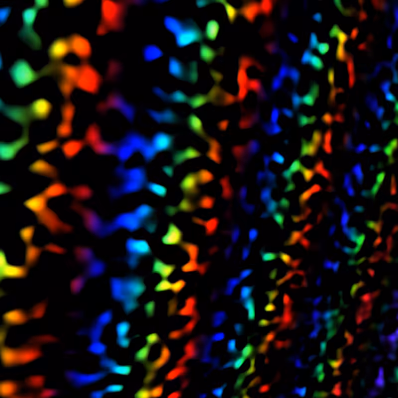 Quantum #14