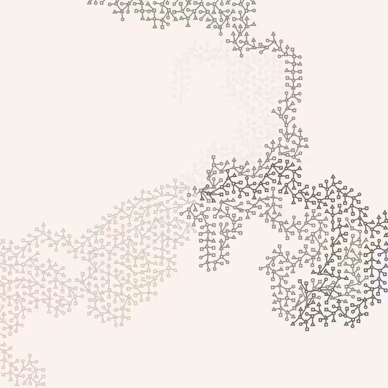 Networks #40