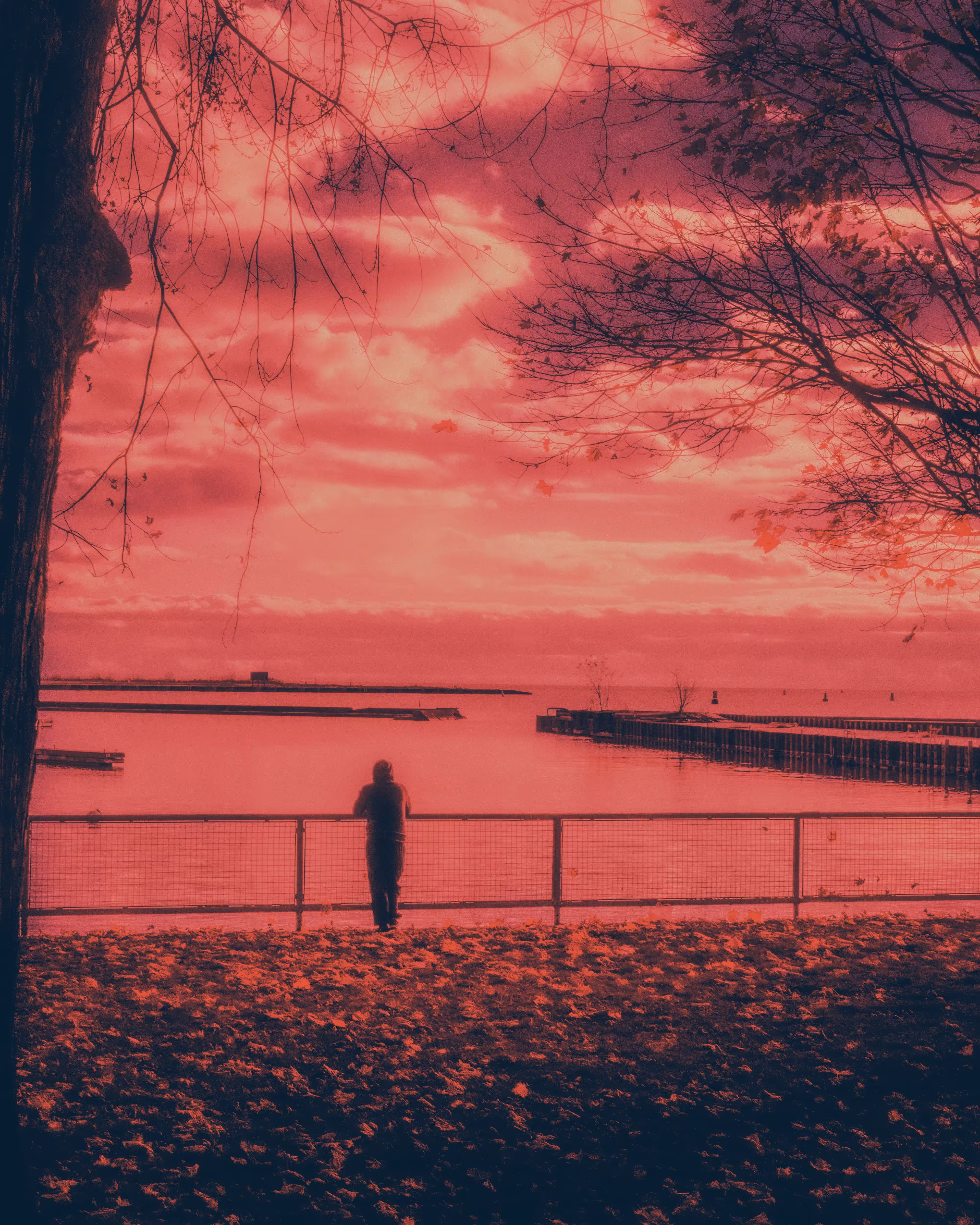 The Red Morning