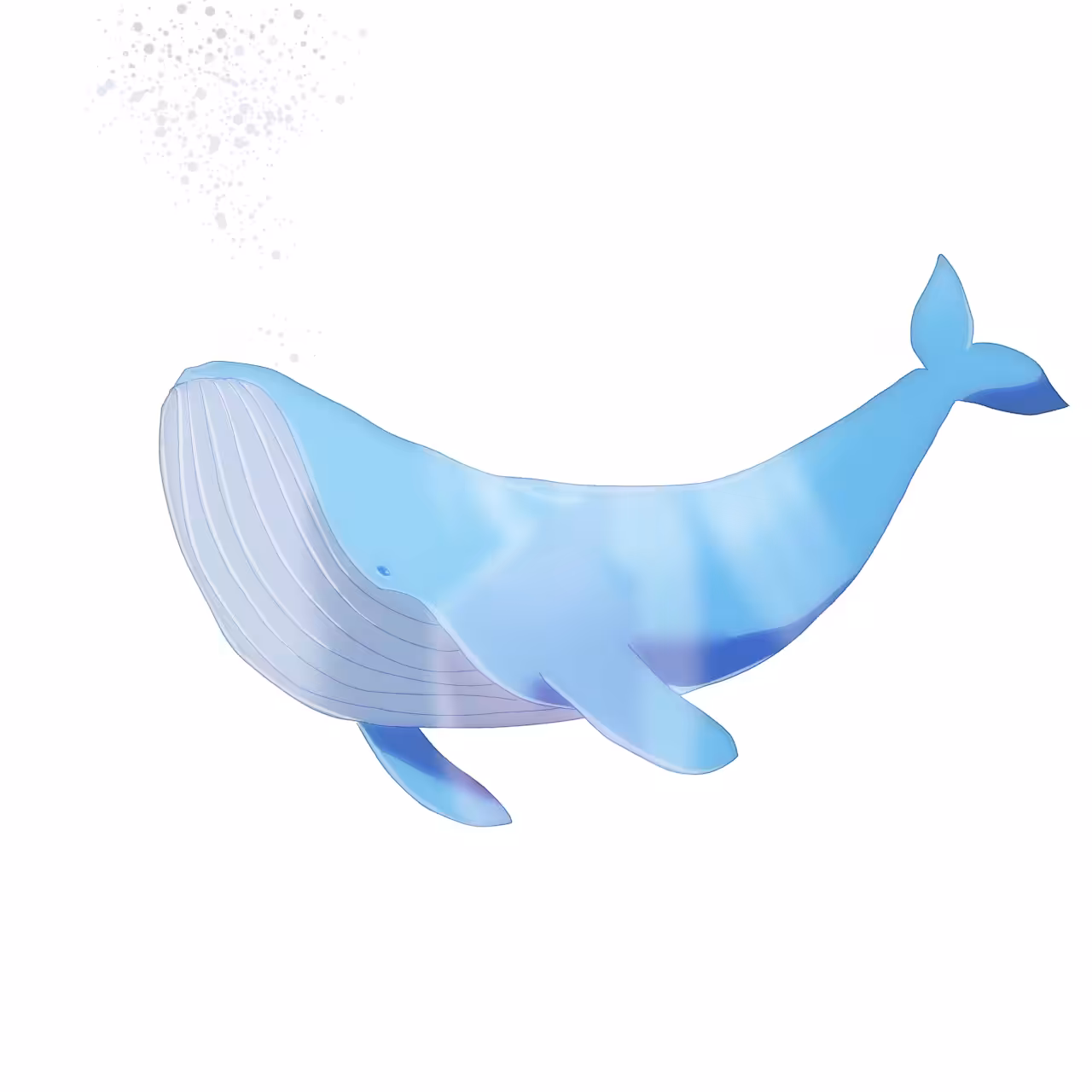 Whale