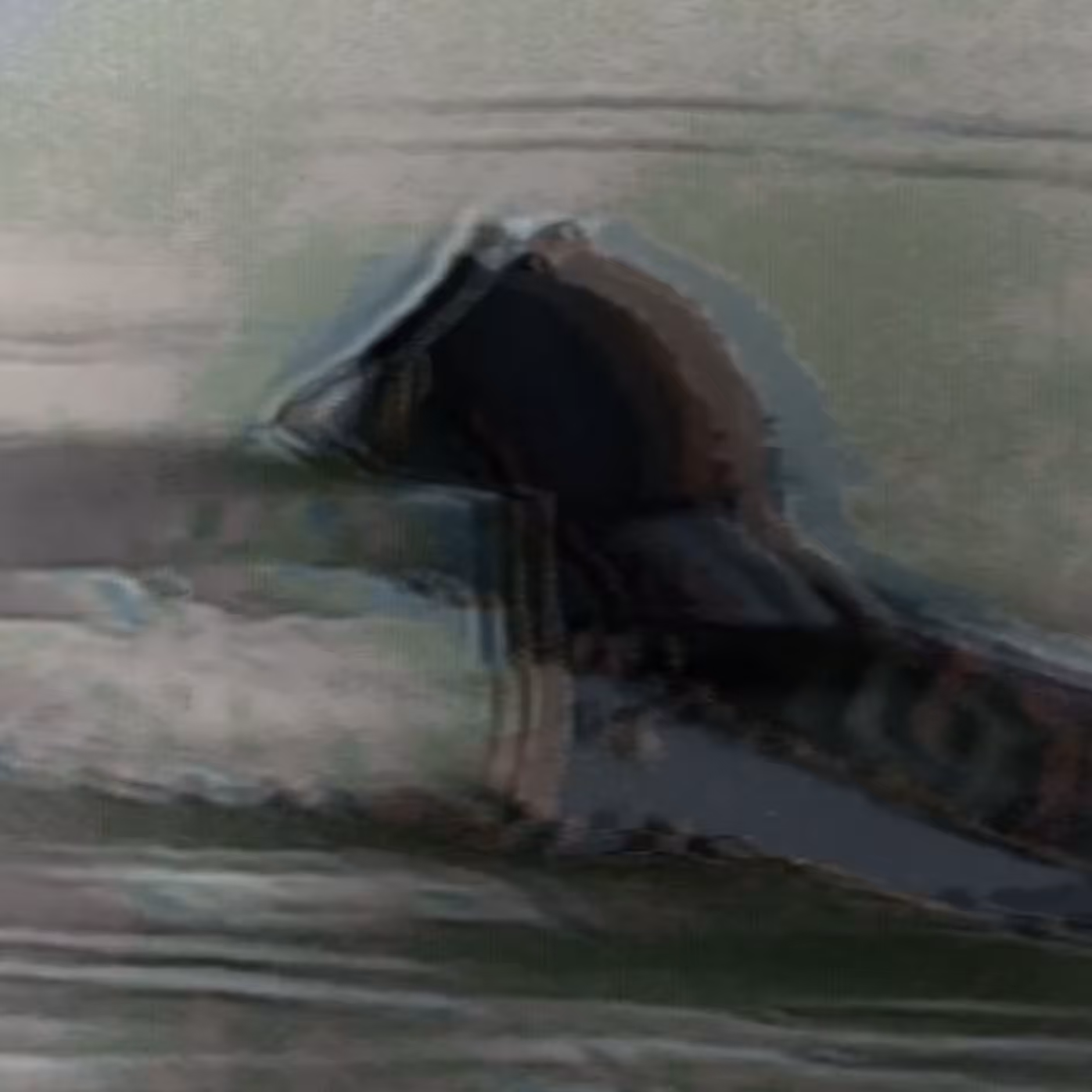 vhs dream 0032