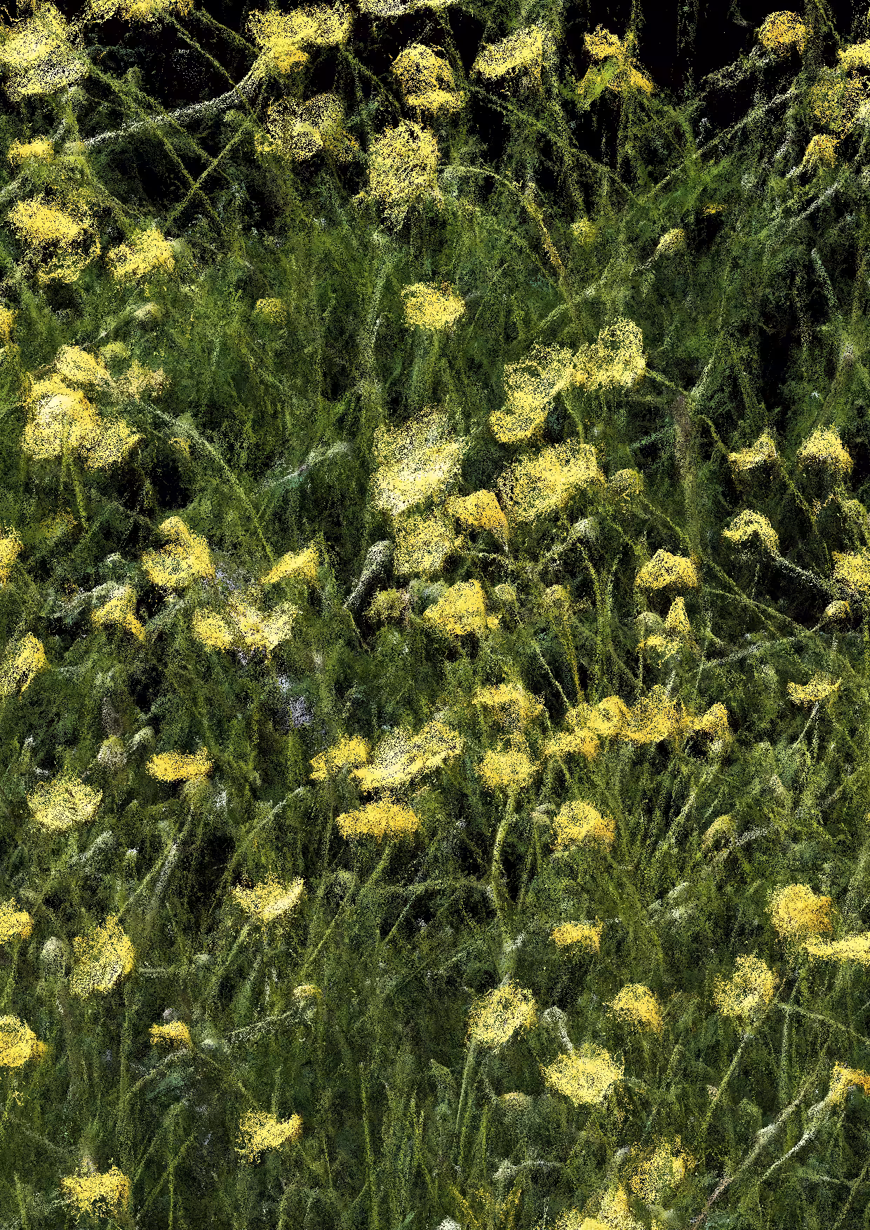 Overgrowth 0368