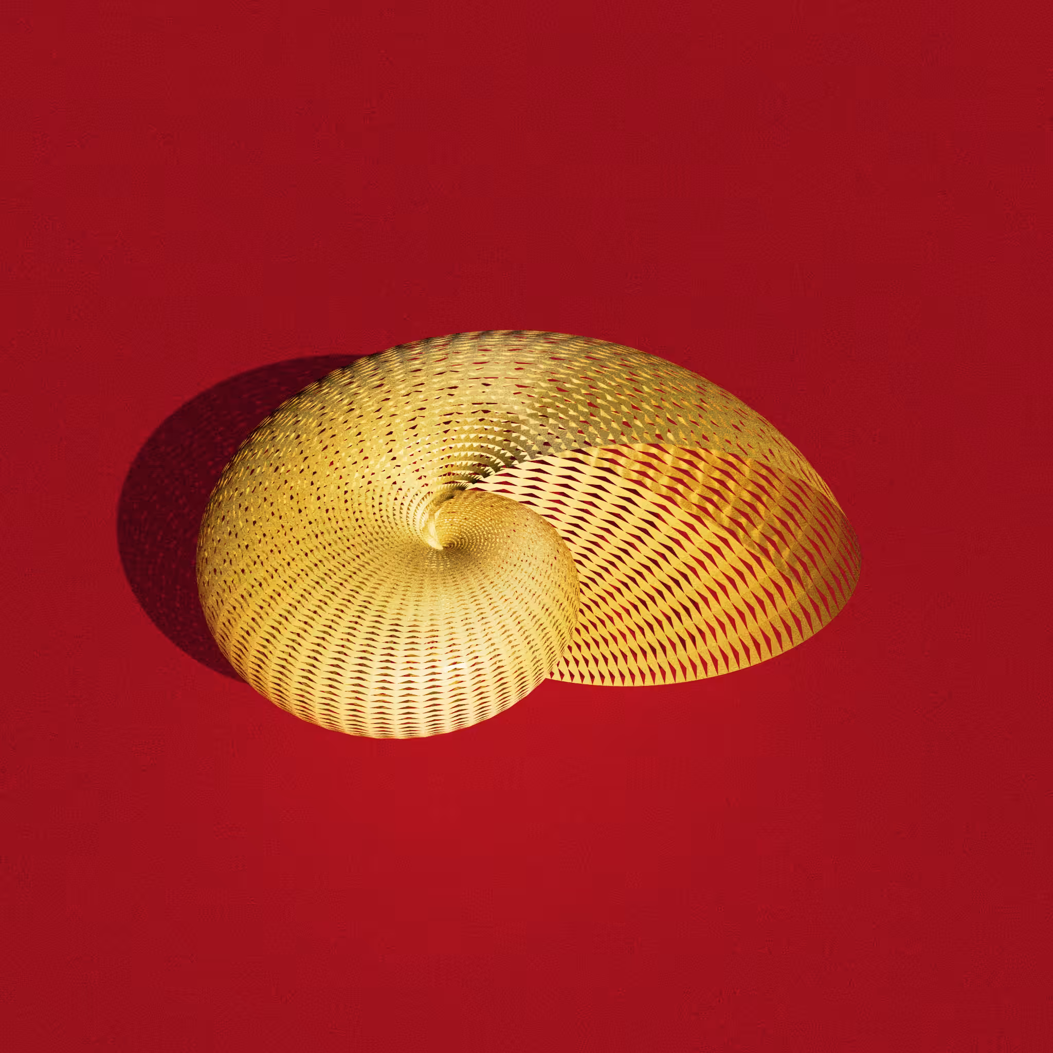 Argonauta 1
