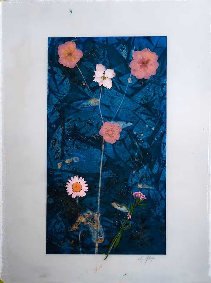 Blossom 0