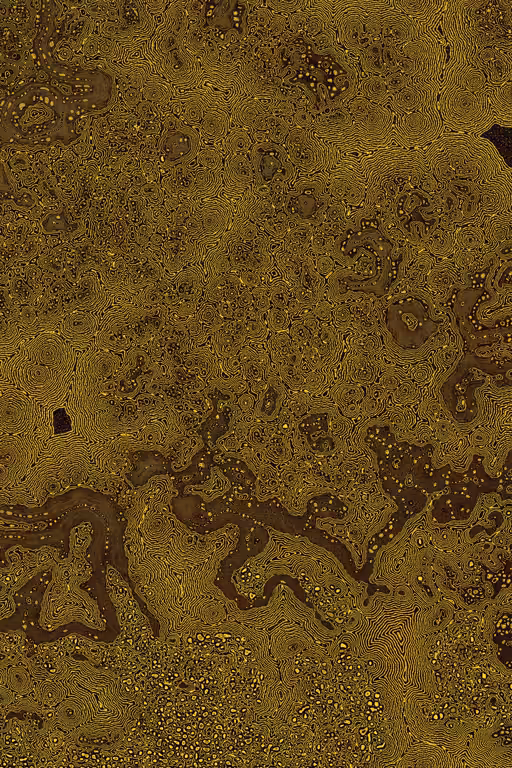 Dactylogram #105