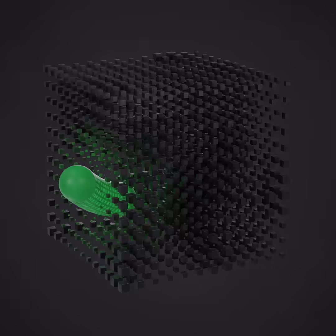 Worm