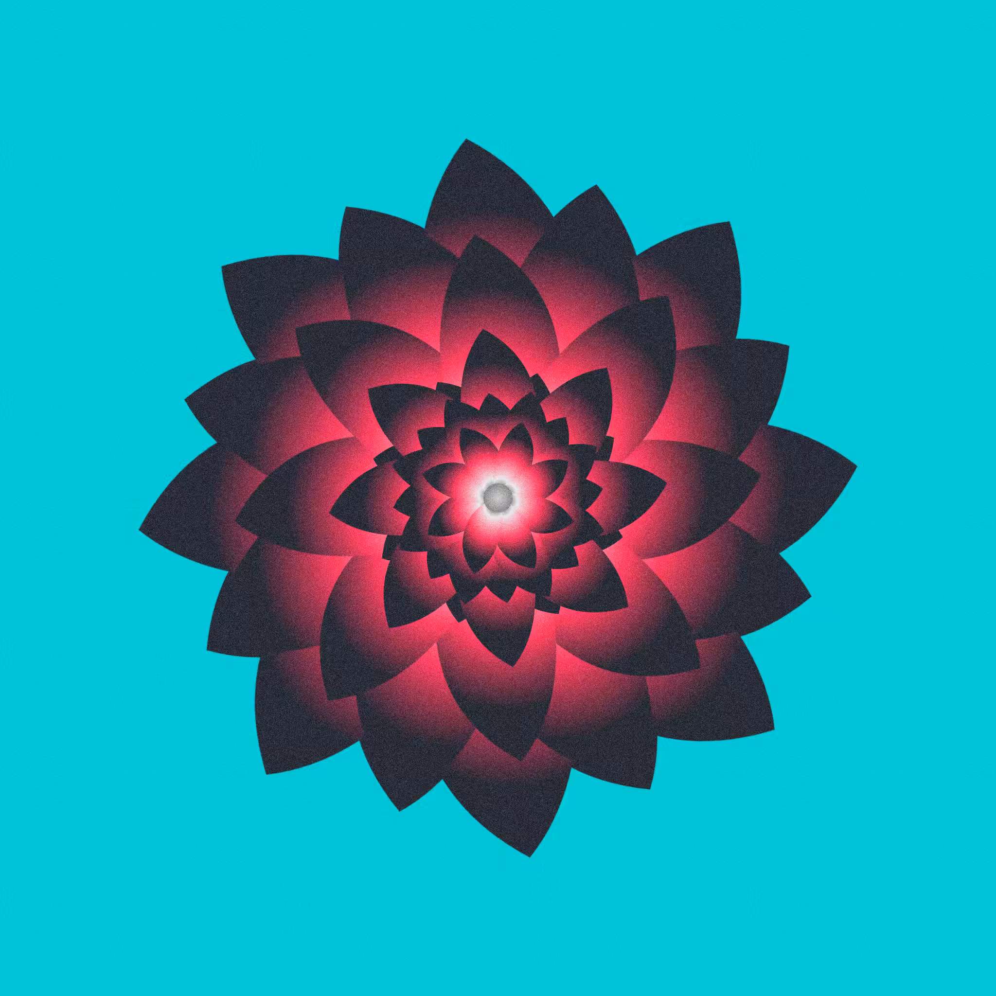 Flower #17