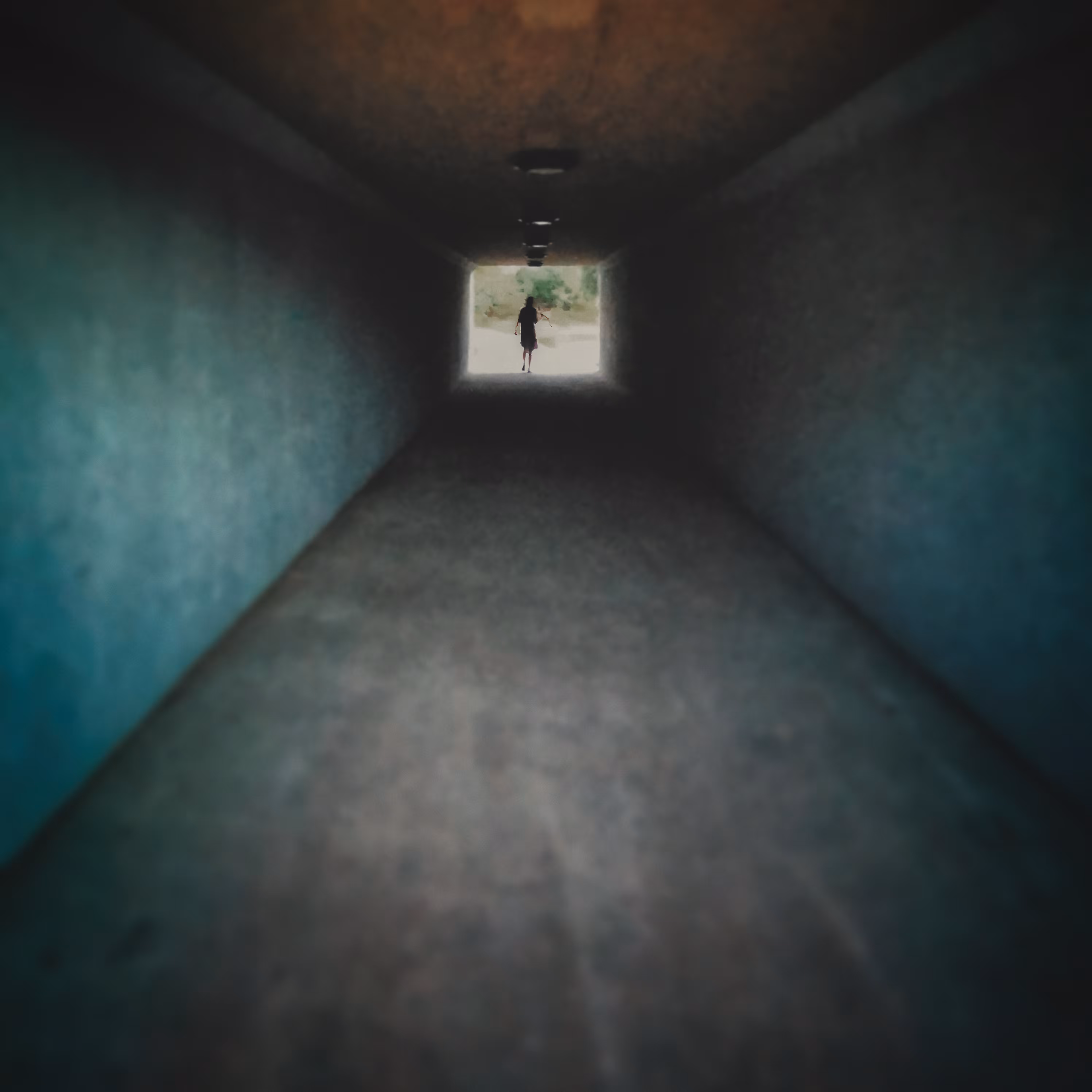 The Traveller