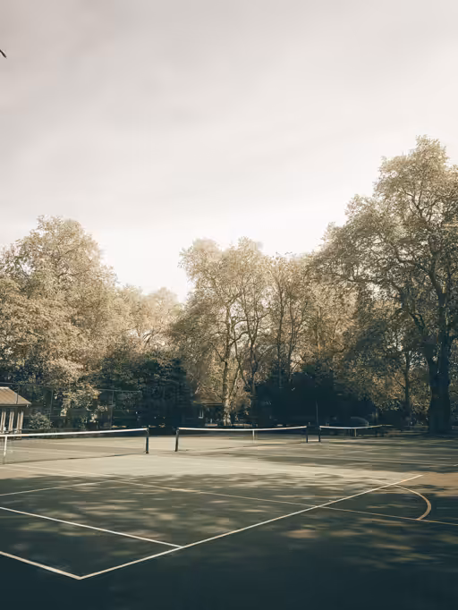 🌳 🎾